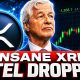 XRP INVESTORS INSANE INTEL JUST DROPPED! *DON'T MISS THIS*