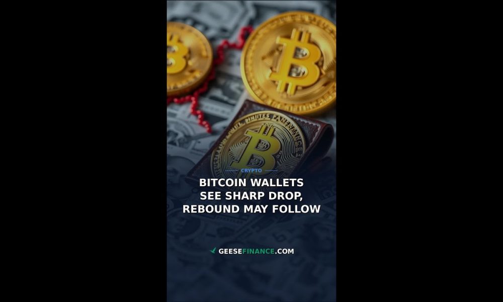 Bitcoin Wallets See Sharp Drop, Rebound May Follow