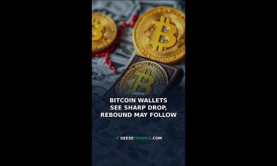 Bitcoin Wallets See Sharp Drop, Rebound May Follow