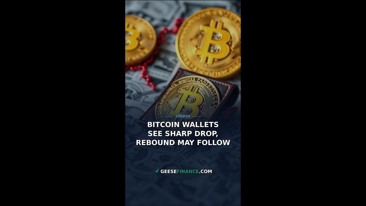 Bitcoin Wallets See Sharp Drop, Rebound May Follow