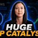 YOU ONLY LOSE MONEY WHEN YOU SELL! - NEW FLARE XRP CATALYST! - NEW RIPPLE UAE HQ! - XRP NEWS!
