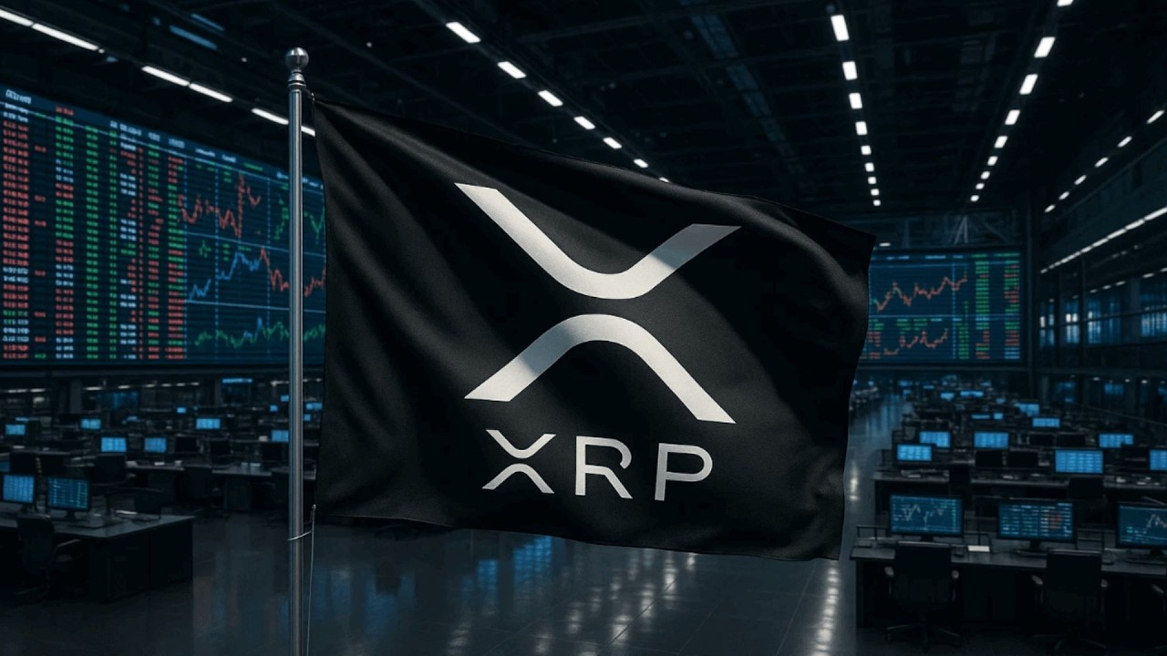 XRP THEY SAID ITS OVER !!!!? YOU HEARD IT HERE FIRST !!!! XRP UNLOCKED !!!!