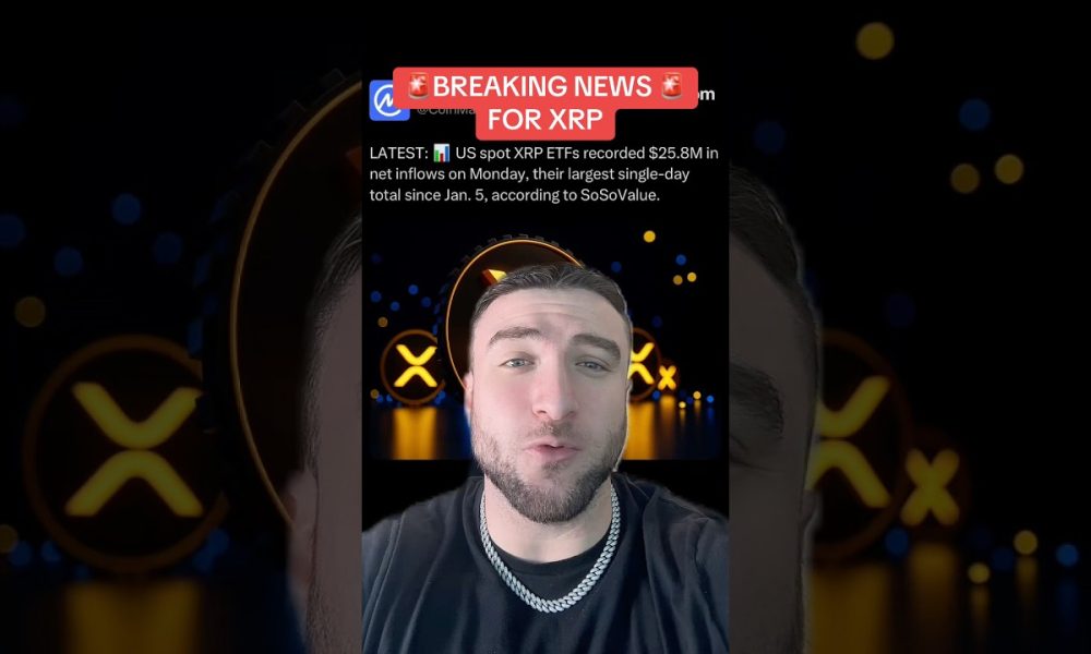 Breaking News for XRP & Crypto #xrp #ripple #crypto #xrpnews #bitcoin #btc #cryptocurrency #eth #sol