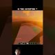 #minecraft #lifeisbutadream #dream #cryptocurrency #minecraftsurvivalseriesepisode1 #fyp #trading