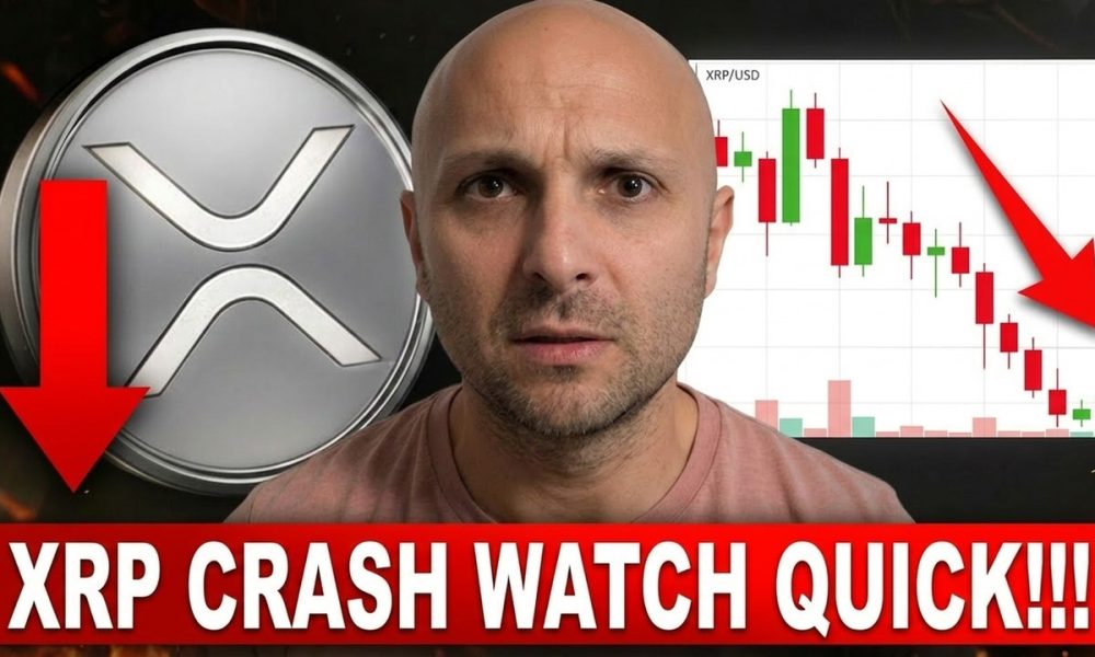 WATCH THIS VIDEO NOW!!! XRP IS ABOUT TO CRASH!??!