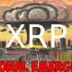 Ripple XRP CONFIRMED JULY 4 TRIGGERS MOON BUY IT ALL DAVID SCHWARTZ SINISTER PREDICTION!!!