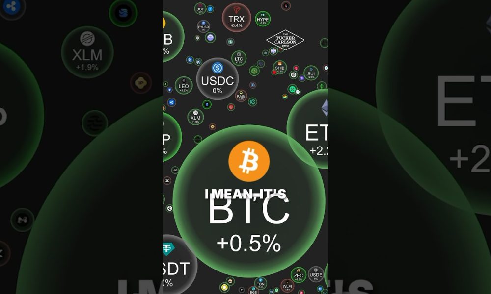 Brutal Truth About Crypto