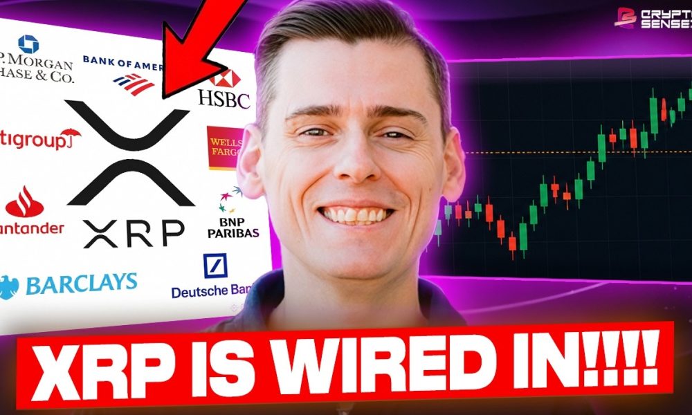 XRP JUST WIRED INTO EVERY BANK!!! (GOING LIVE)