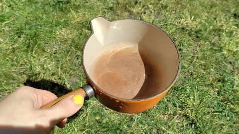 Gardeners Should Check Their Leaves In The Morning This Summer