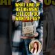 Still Planning To Work At 65? | Retirement, Inflation & Financial Freedom