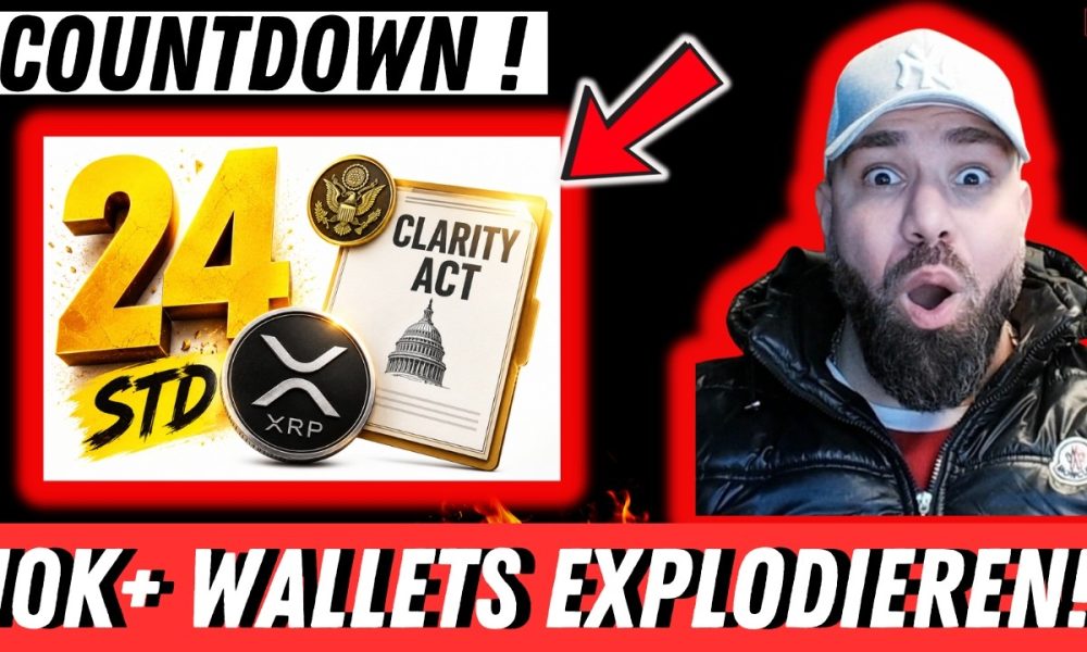 NUR NOCH 24 STUNDEN?! XRP-WALE EXPLODIEREN! 10.000+ XRP WALLETS AUF REKORD!