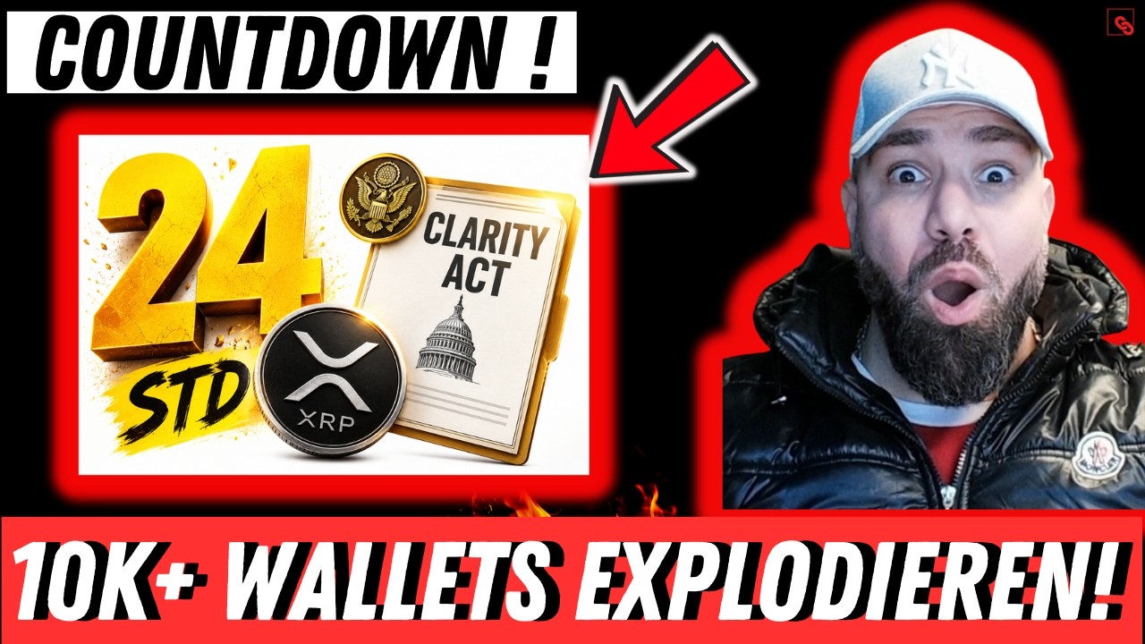 NUR NOCH 24 STUNDEN?! XRP-WALE EXPLODIEREN! 10.000+ XRP WALLETS AUF REKORD!