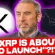 BRAD: ''XRP IS ABOUT TO LAUNCH''?!?!?! (XRP = HEAVILY UNDERPRICED)