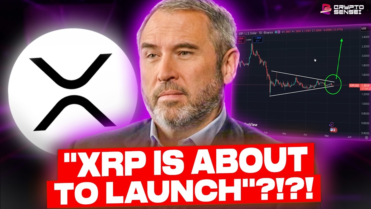 BRAD: ''XRP IS ABOUT TO LAUNCH''?!?!?! (XRP = HEAVILY UNDERPRICED)