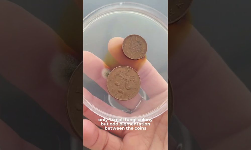 How dirty is your money?!