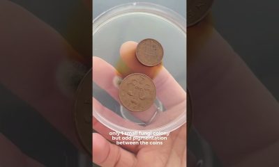 How dirty is your money?!