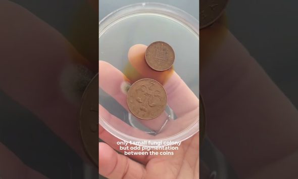 How dirty is your money?!