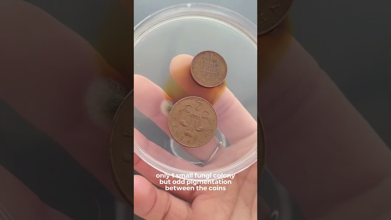 How dirty is your money?!