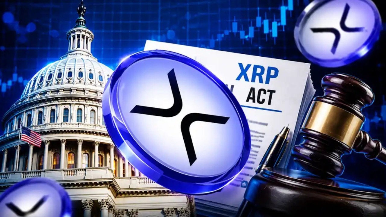 XRP CLARITY BREAKING !!!! PRICE BEFORE LAW ACTIVATED !!!!