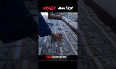 Money Addiction Mindset | Rich Money Mindset Psychology Explained #shorts #shortsfeed