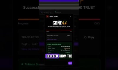Burning 500M crypto tokens in 10 seconds  #solana #cryptocurrency  #mintcraft  #defi   #solanatoken