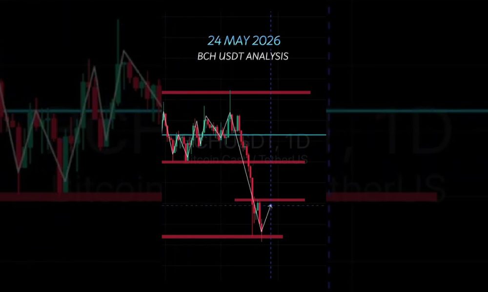 24 MAY 2026 l BCH USDT ANALYSIS l #cryptocurrency #cryptoupdate #technicalanalysis #cryptomarket