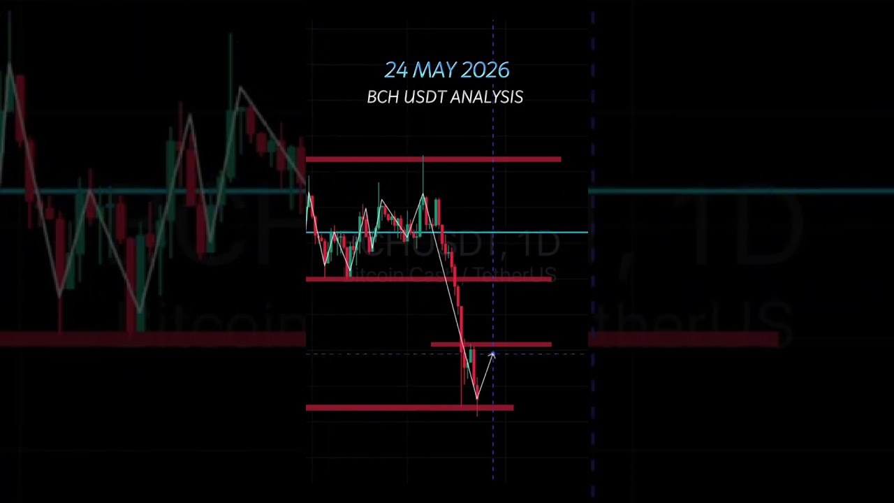 24 MAY 2026 l BCH USDT ANALYSIS l #cryptocurrency #cryptoupdate #technicalanalysis #cryptomarket