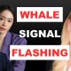 Whales Are Moving Crypto Into ETFs, Here’s What’s Next For Markets | Krista Lynch