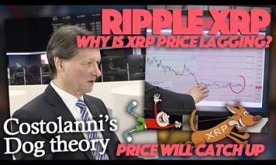 Ripple XRP: XRP Price Will Eventually Catch Up To Fundamentals Says Oliver Michel