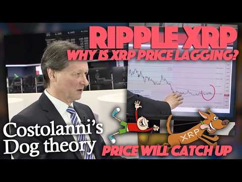 Ripple XRP: XRP Price Will Eventually Catch Up To Fundamentals Says Oliver Michel