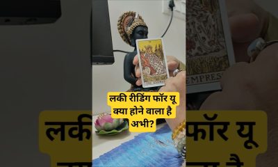#money #tarot #888tarotcardreadingrashifal