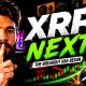 PROOF XRP Is About To RIP.