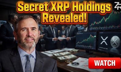 XRP Secret Holdings Revealed!