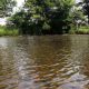 Two dogs rescued from drainage ditch in North Yorkshire