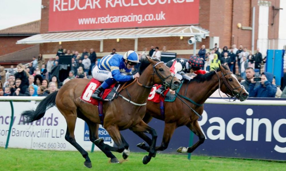 Appeal after thieves break in to Redcar Racecourse overnight