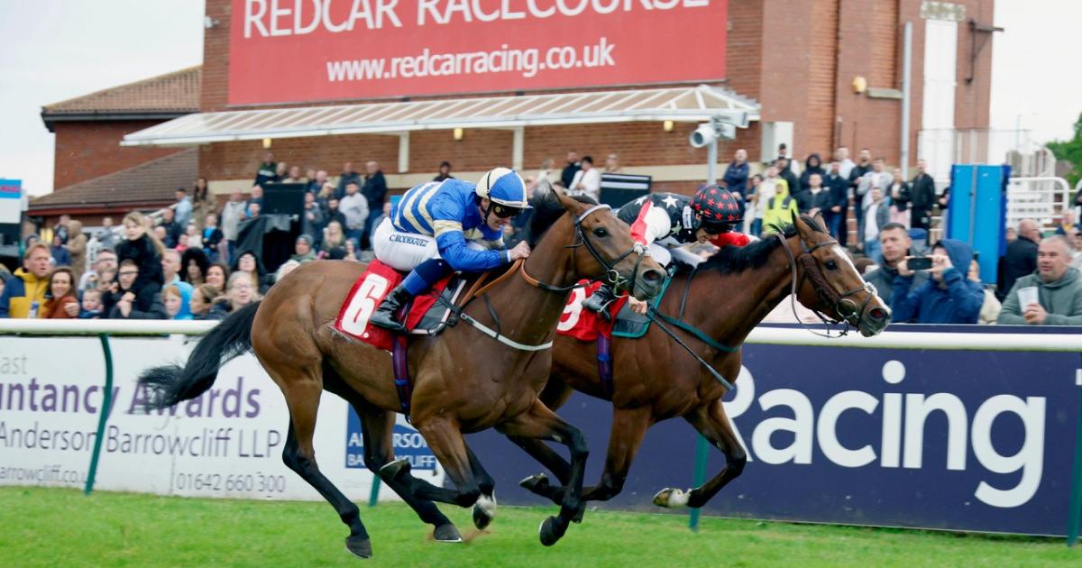 Appeal after thieves break in to Redcar Racecourse overnight
