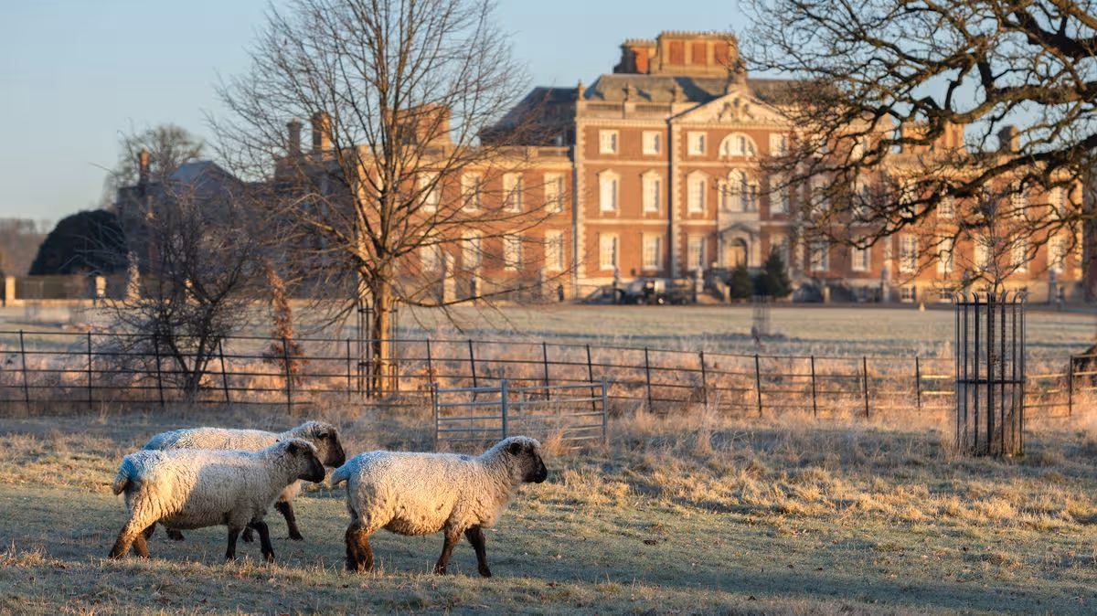 Cambridgeshire Live