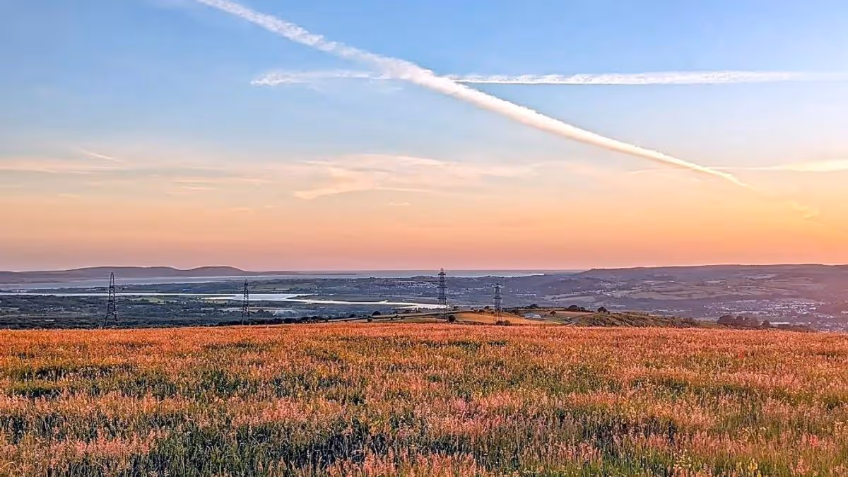 Wales Online