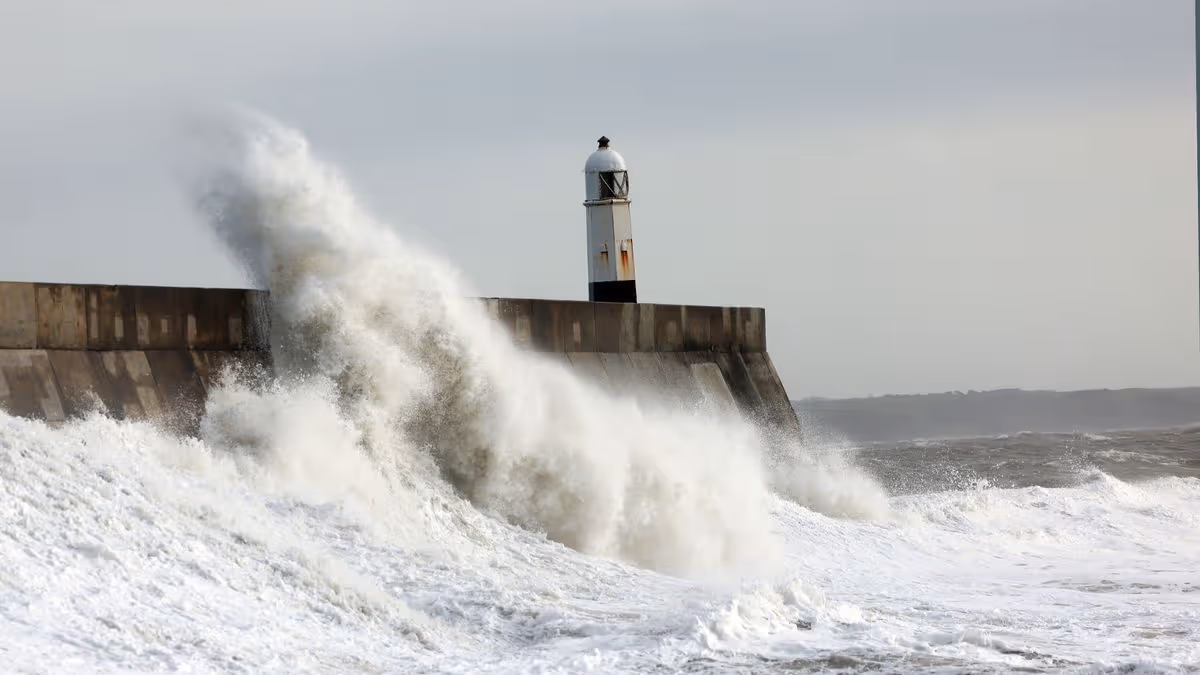Wales Online