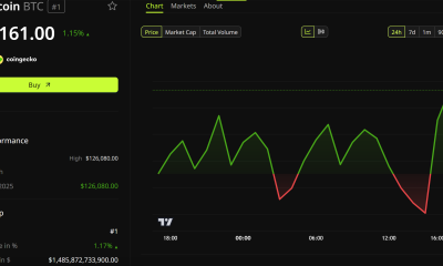 Bitcoin Price Performance