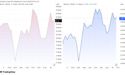 Bitcoin and Ethereum Price Performance