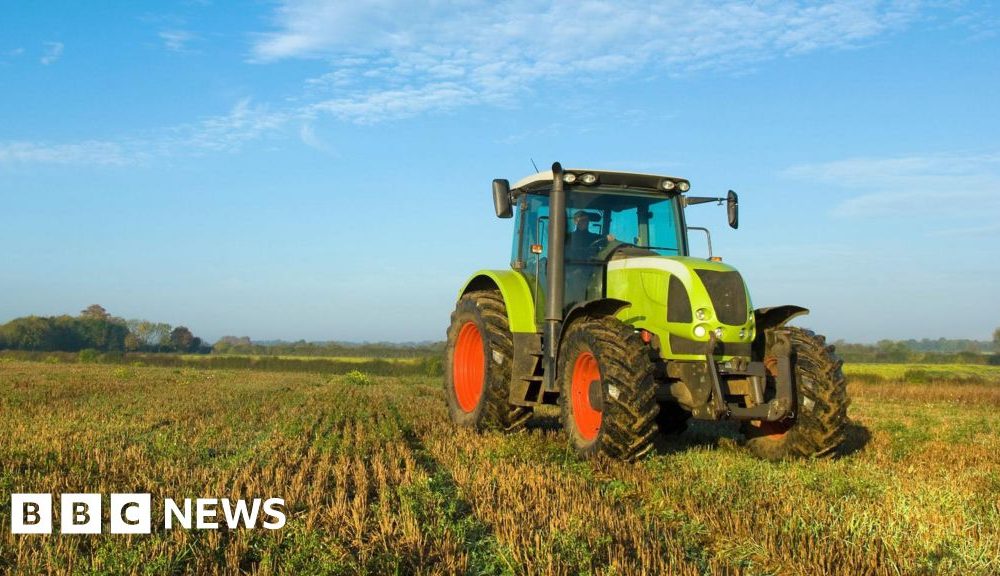 Campaigners call for ban on use of weedkiller glyphosate at harvest time