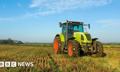 Campaigners call for ban on use of weedkiller glyphosate at harvest time
