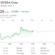 Nvidia (NVDA) Stock Performance.