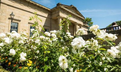 Drawing linked to Mary Anning found at Yorkshire Museum