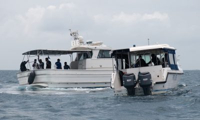 Expert divers FIND four remaining bodies of missing tourists in Maldives 'shark cave' after perilous recovery mission