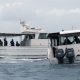 Expert divers FIND four remaining bodies of missing tourists in Maldives 'shark cave' after perilous recovery mission