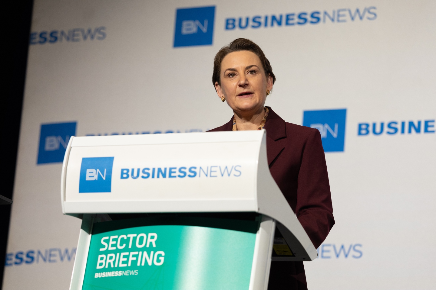 Sanderson rejects calls over delayed energy system plan