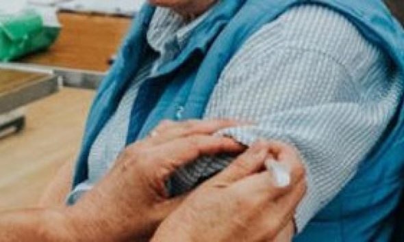 Horden man admits selling fake Covid vaccination records