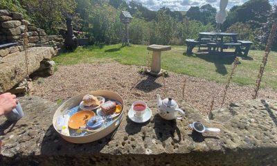 North Yorkshire cafe is well-kept secret with cream teas